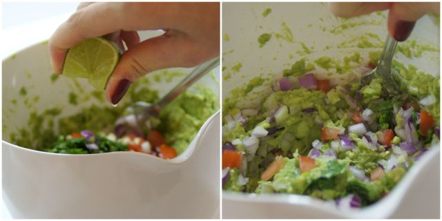 Guacamole2.jpg