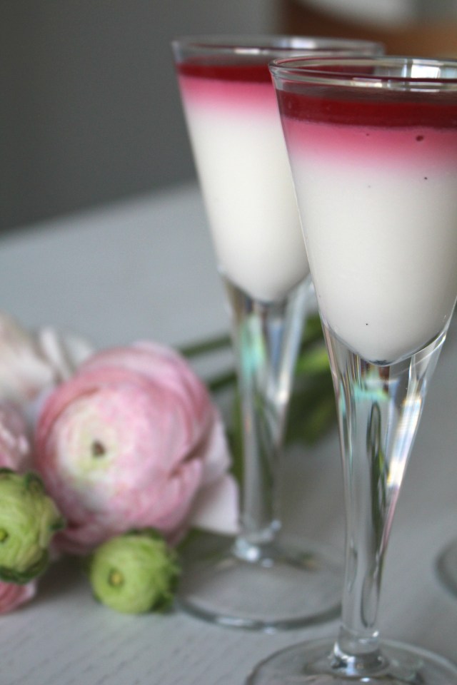 panacotta2